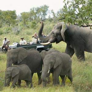 Africa Adventure Travel